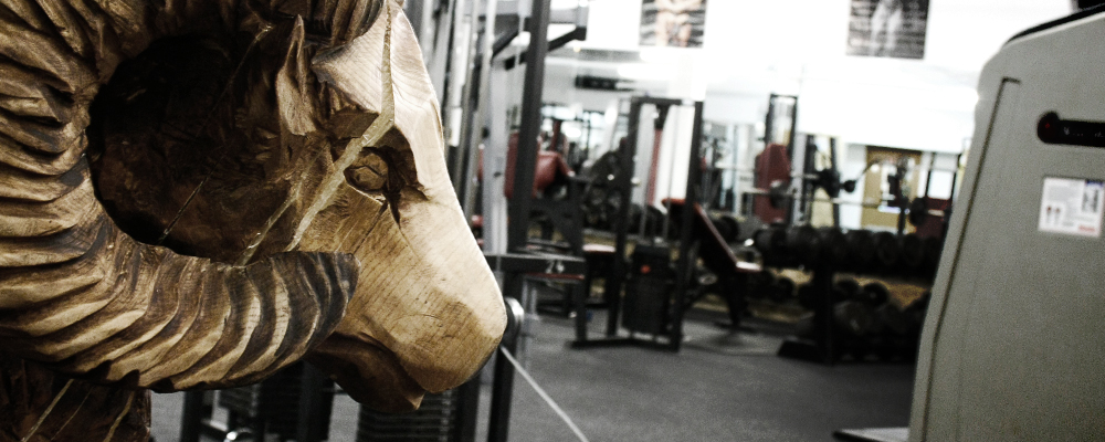 Argo Powergym